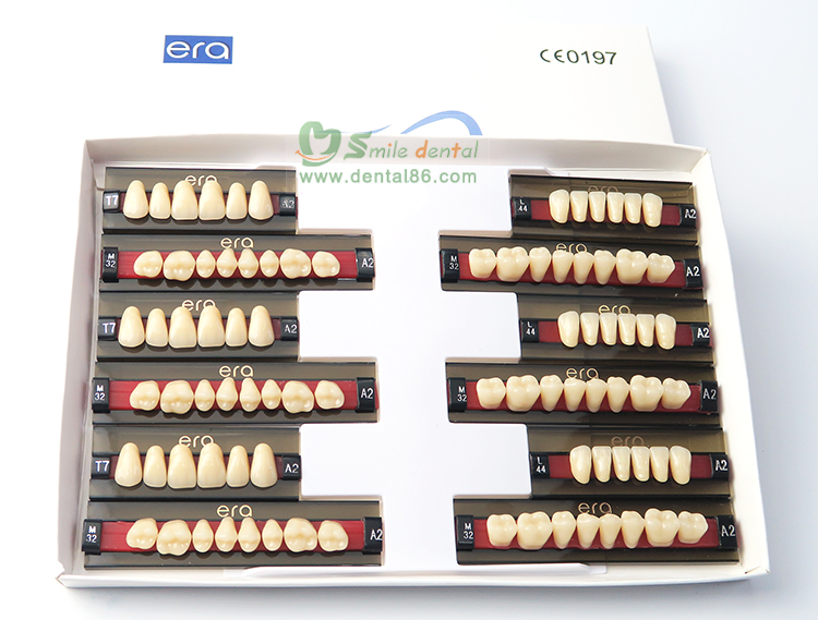 Three Layer Acrylic Resin Teeth